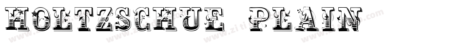 Holtzschue Plain字体转换